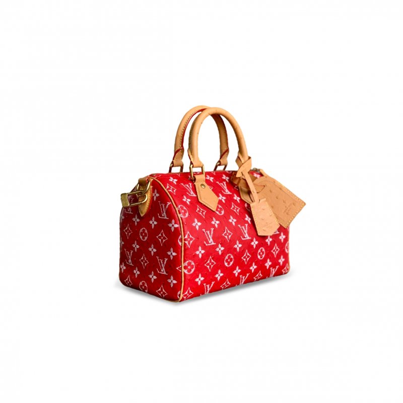 (image for) LOUIS VUITTON MASTER SPEEDY P9 BANDOULIÈRE 25 M24437 (25*15*15cm)