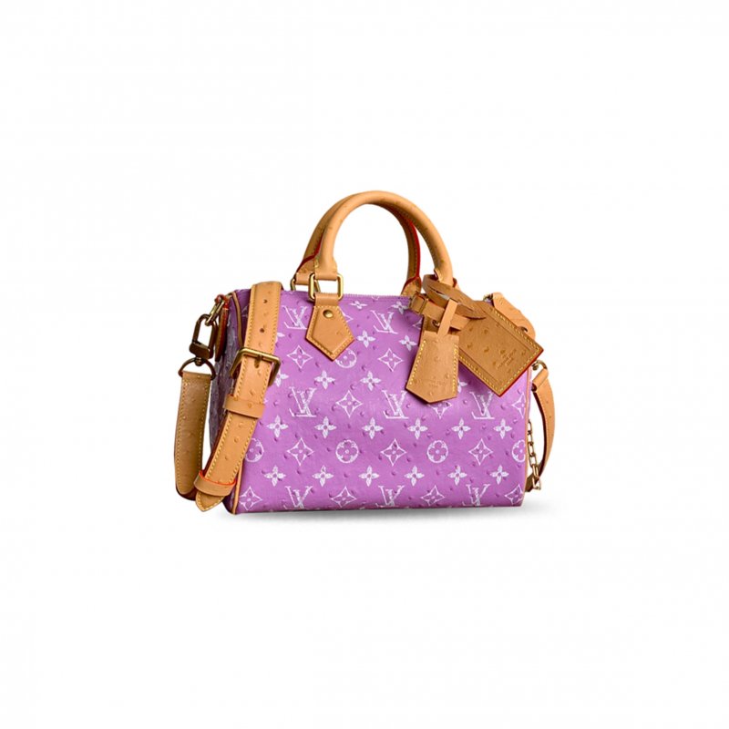 (image for) LOUIS VUITTON MASTER SPEEDY P9 BANDOULIÈRE 25 M24437 (25*15*15cm)
