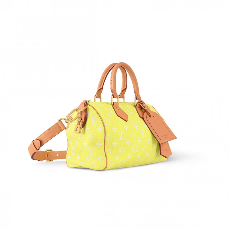 (image for) LOUIS VUITTON MASTER SPEEDY P9 BANDOULIÈRE 25 M13902 (25*15*15cm)