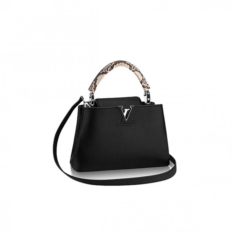 (image for) LOUIS VUITTON MASTER CAPUCINES BB N85513 (27*17.3*9cm)