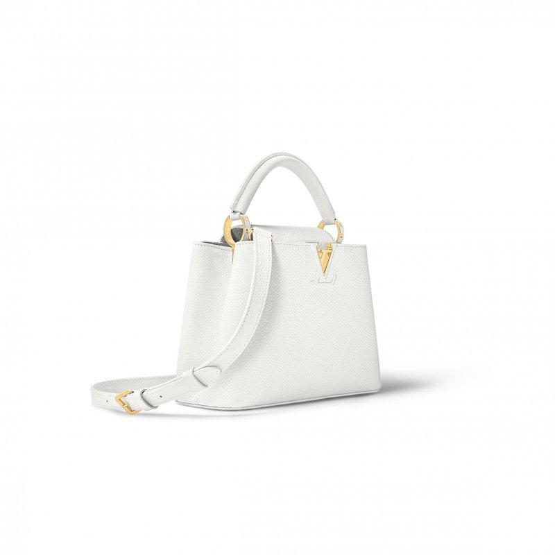 (image for) LOUIS VUITTON MASTER CAPUCINES BB M55832 (27*18*9cm)