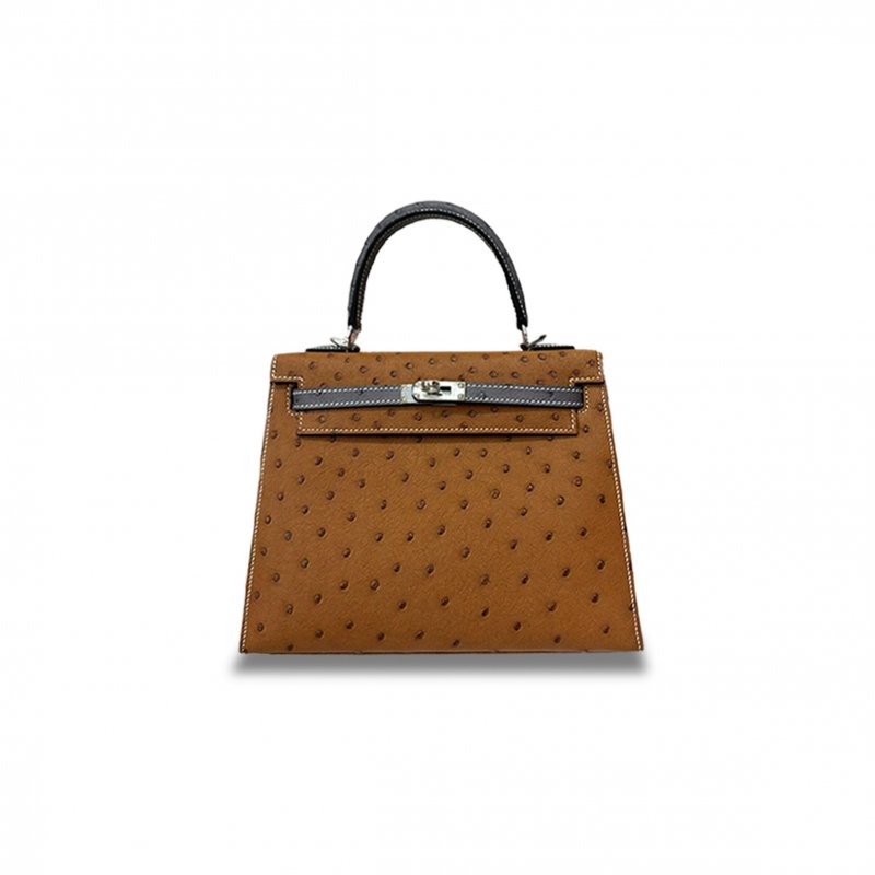 (image for) HERMÈS MASTER OSTRICH LEATHER GOLD 25 SILVER (25*17*7cm)