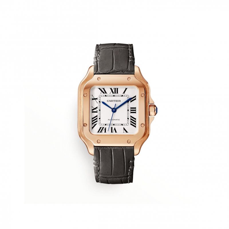 (image for) CARTIER SANTOS DE CARTIER WATCH WGSA0028